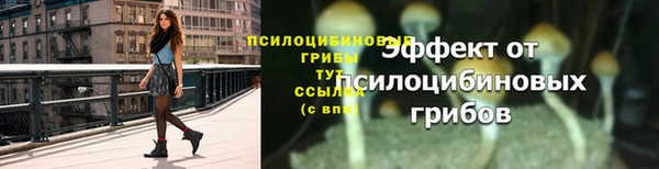 наркотики Белокуриха