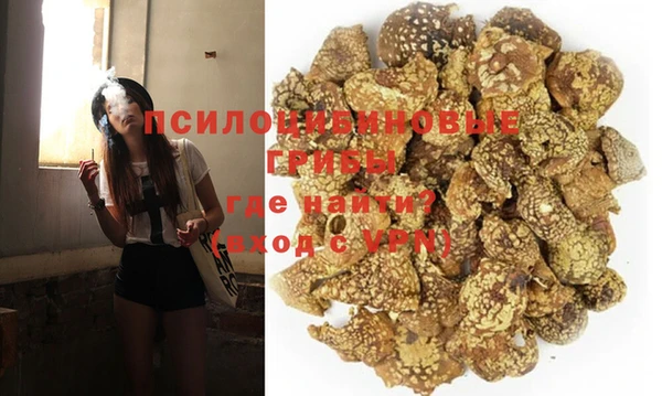 наркотики Белокуриха