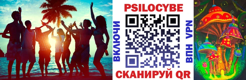 Галлюциногенные грибы GOLDEN TEACHER  Купить  Ессентуки 